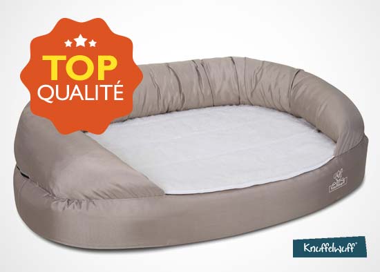 Le meilleur matelas pour chien